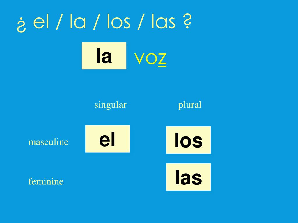¿ el / la / los / las voz la el los las singular plural masculine