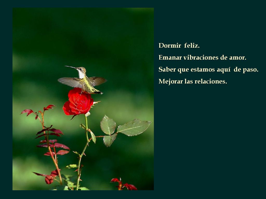 Dormir feliz. Emanar vibraciones de amor. Saber que estamos aquí de paso. Mejorar las relaciones.