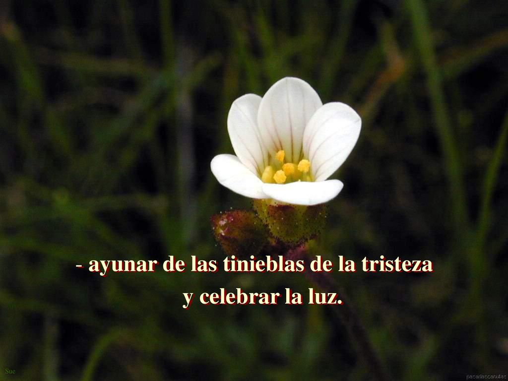 ayunar de las tinieblas de la tristeza y celebrar la luz.