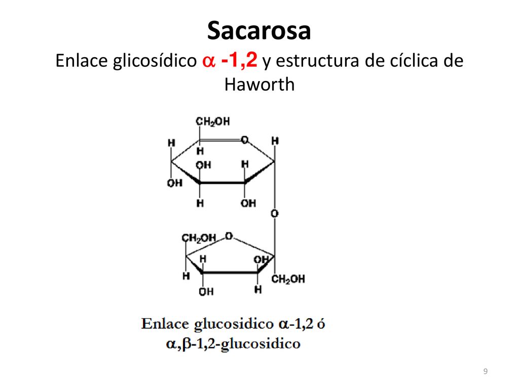 Sacarosa Enlace glicosídico a -1,2 y estructura de cíclica de Haworth