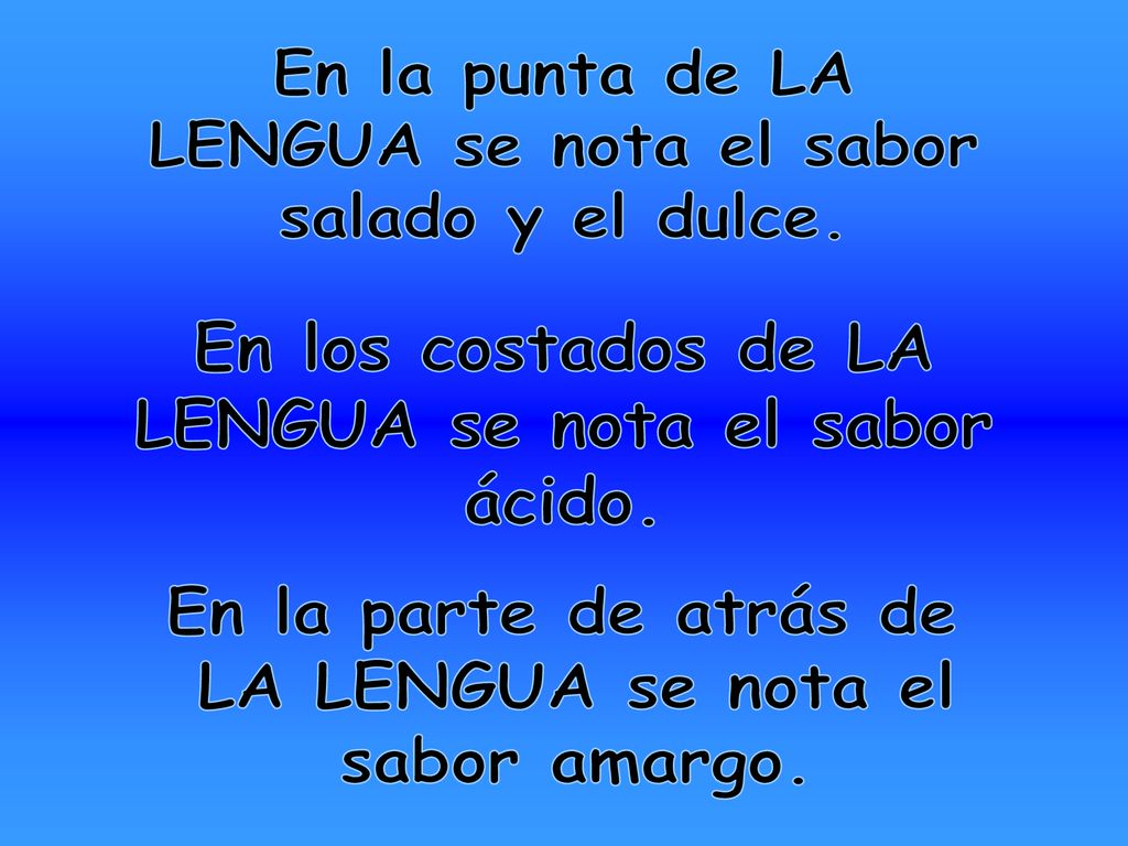 En la punta de LA LENGUA se nota el sabor. salado y el dulce. En los costados de LA. LENGUA se nota el sabor.