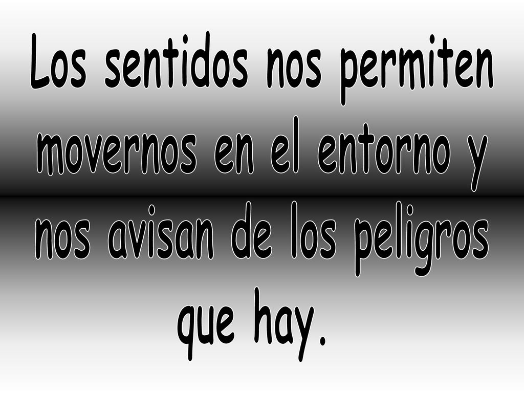 Los sentidos nos permiten movernos en el entorno y