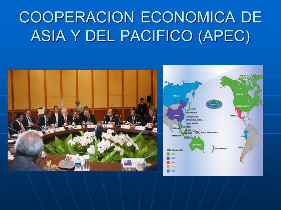 COOPERACION ECONOMICA DE ASIA Y DEL PACIFICO (APEC)