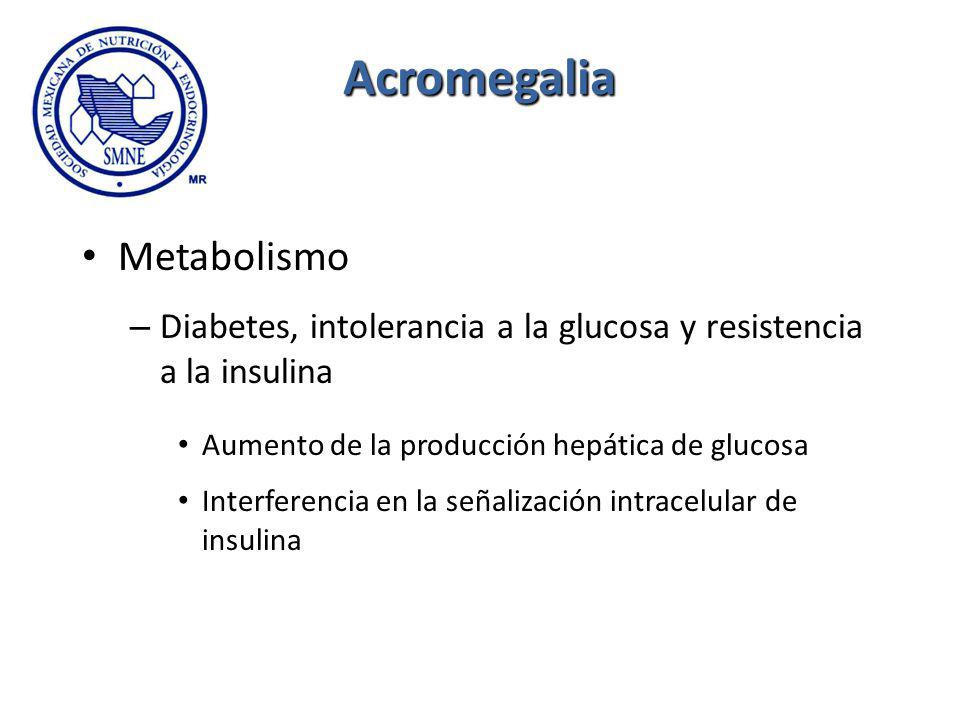 Acromegalia Metabolismo