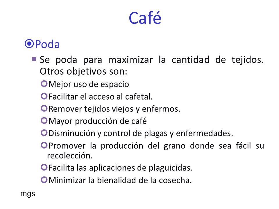 Café Poda. Se poda para maximizar la cantidad de tejidos. Otros objetivos son: Mejor uso de espacio.