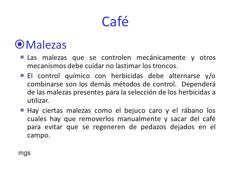 Café Malezas. Las malezas que se controlen mecánicamente y otros mecanismos debe cuidar no lastimar los troncos.