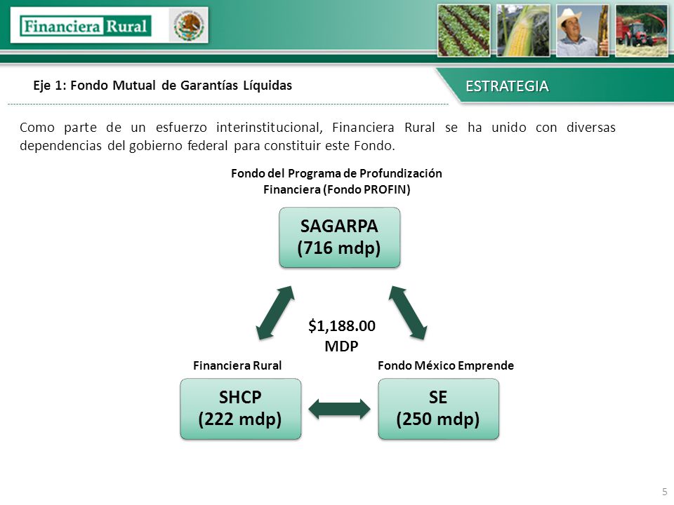 Eje 1: Fondo Mutual de Garantías Líquidas