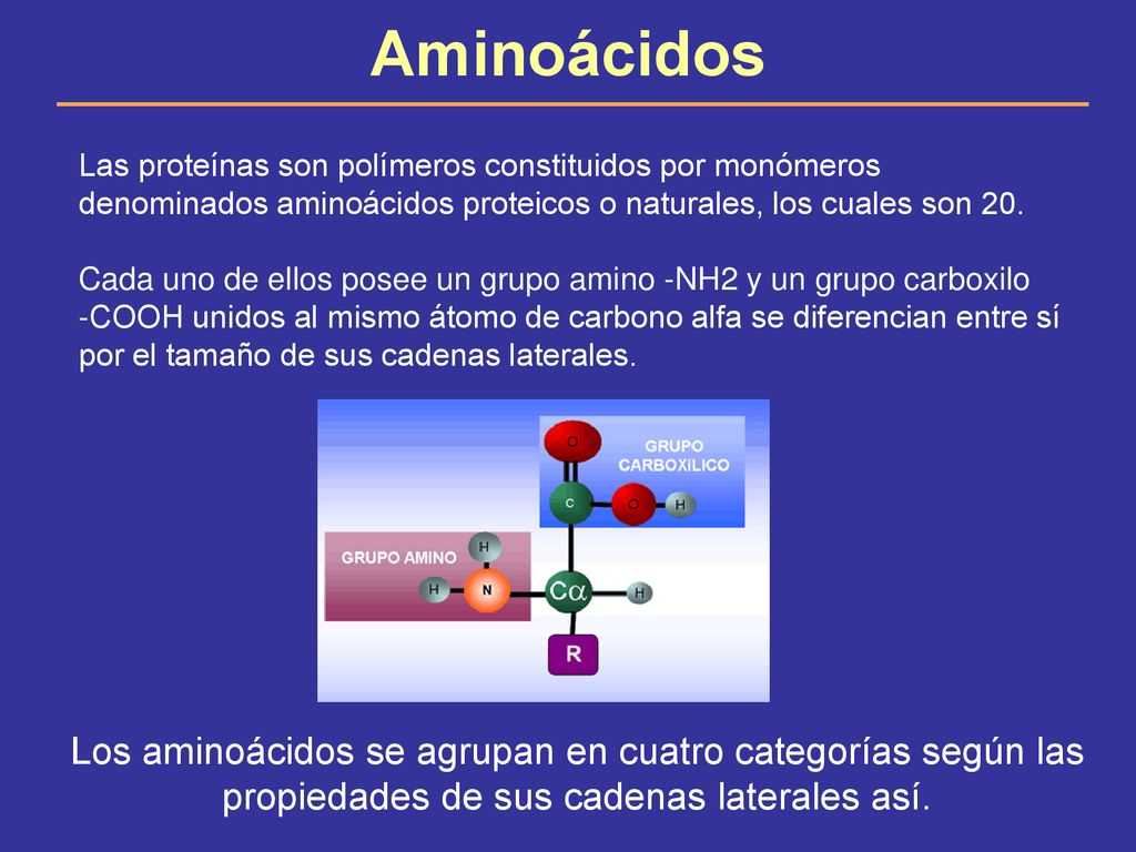 Aminoácidos Las proteínas son polímeros constituidos por monómeros denominados aminoácidos proteicos o naturales, los cuales son 20.