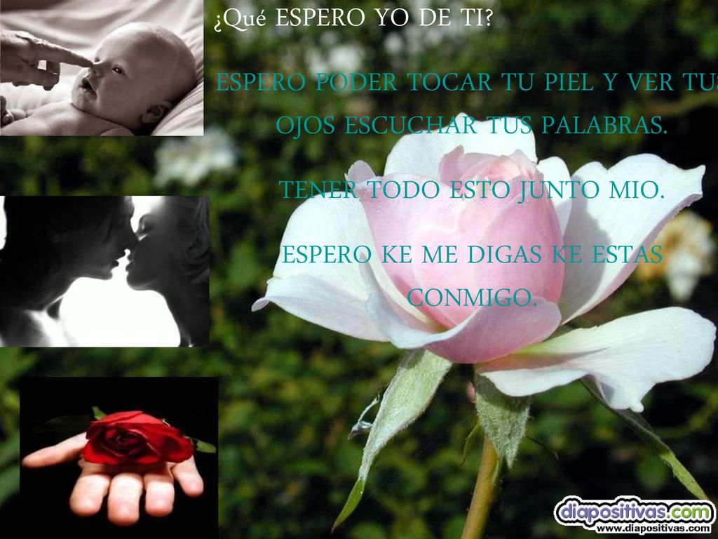 ESPERO PODER TOCAR TU PIEL Y VER TUS OJOS ESCUCHAR TUS PALABRAS.