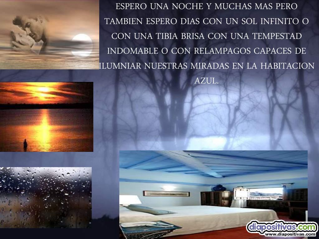 ESPERO UNA NOCHE Y MUCHAS MAS PERO TAMBIEN ESPERO DIAS CON UN SOL INFINITO O CON UNA TIBIA BRISA CON UNA TEMPESTAD INDOMABLE O CON RELAMPAGOS CAPACES DE ILUMNIAR NUESTRAS MIRADAS EN LA HABITACION AZUL.