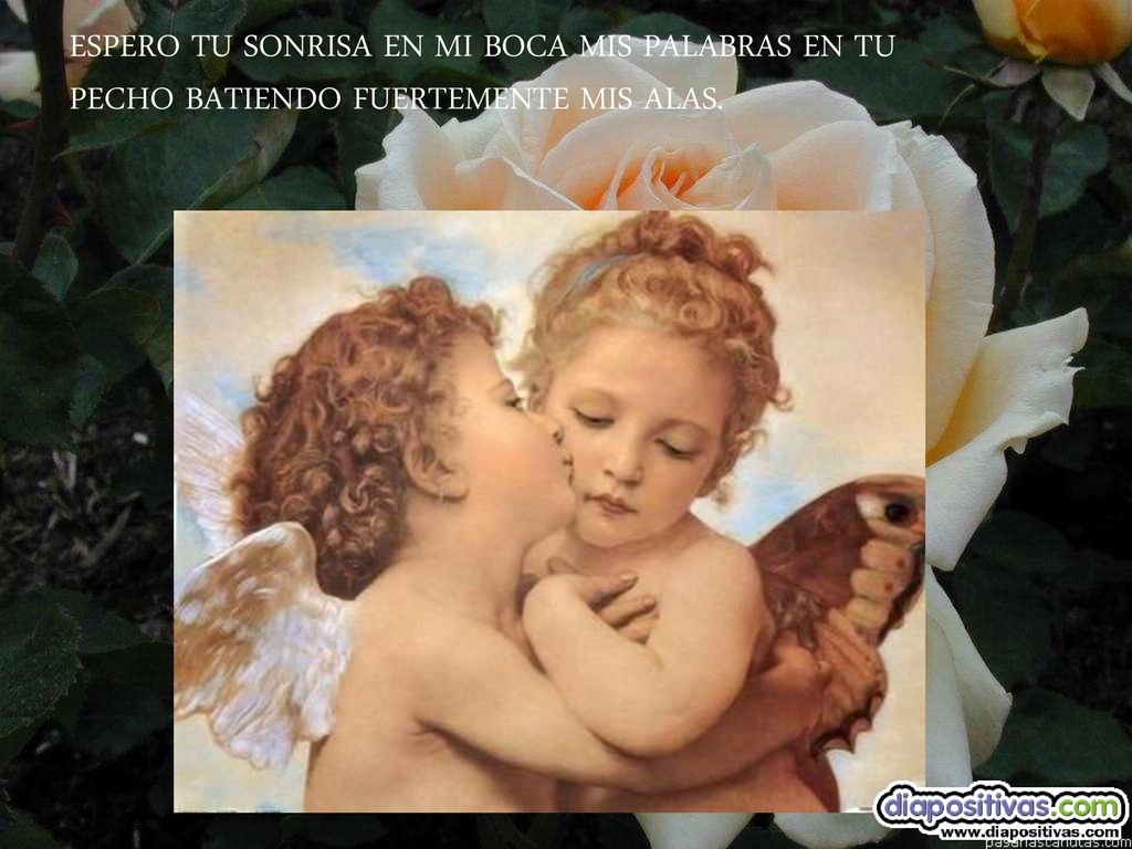 ESPERO TU SONRISA EN MI BOCA MIS PALABRAS EN TU PECHO BATIENDO FUERTEMENTE MIS ALAS.