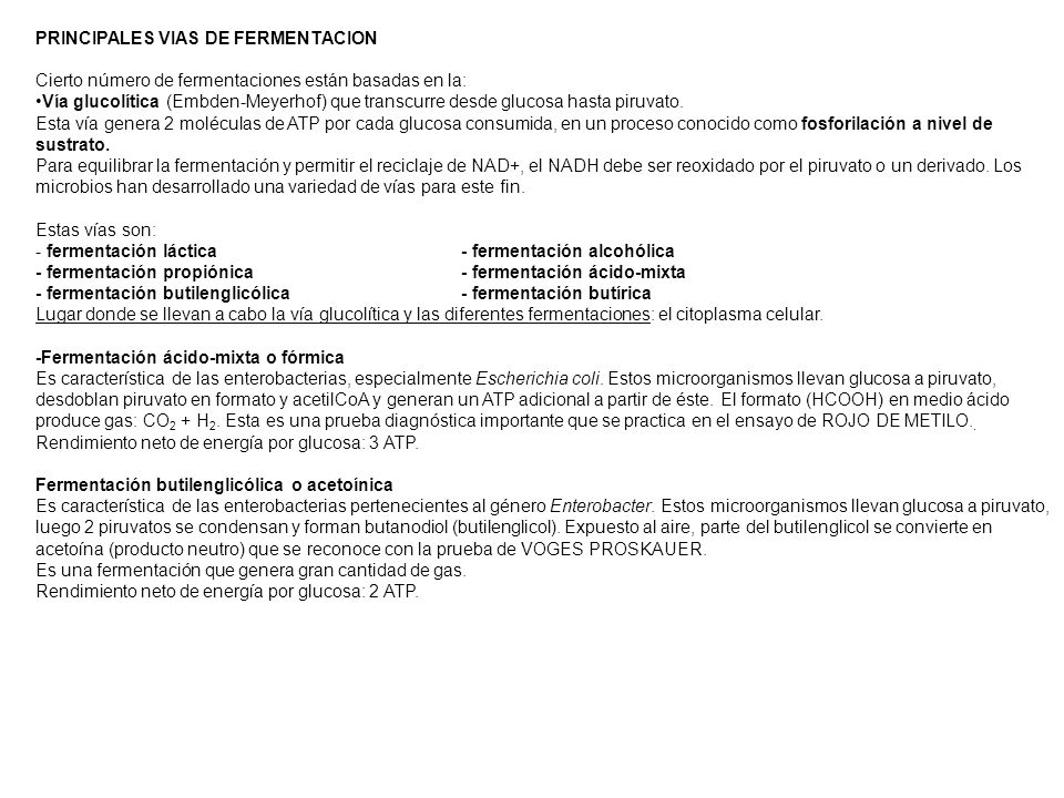 PRINCIPALES VIAS DE FERMENTACION