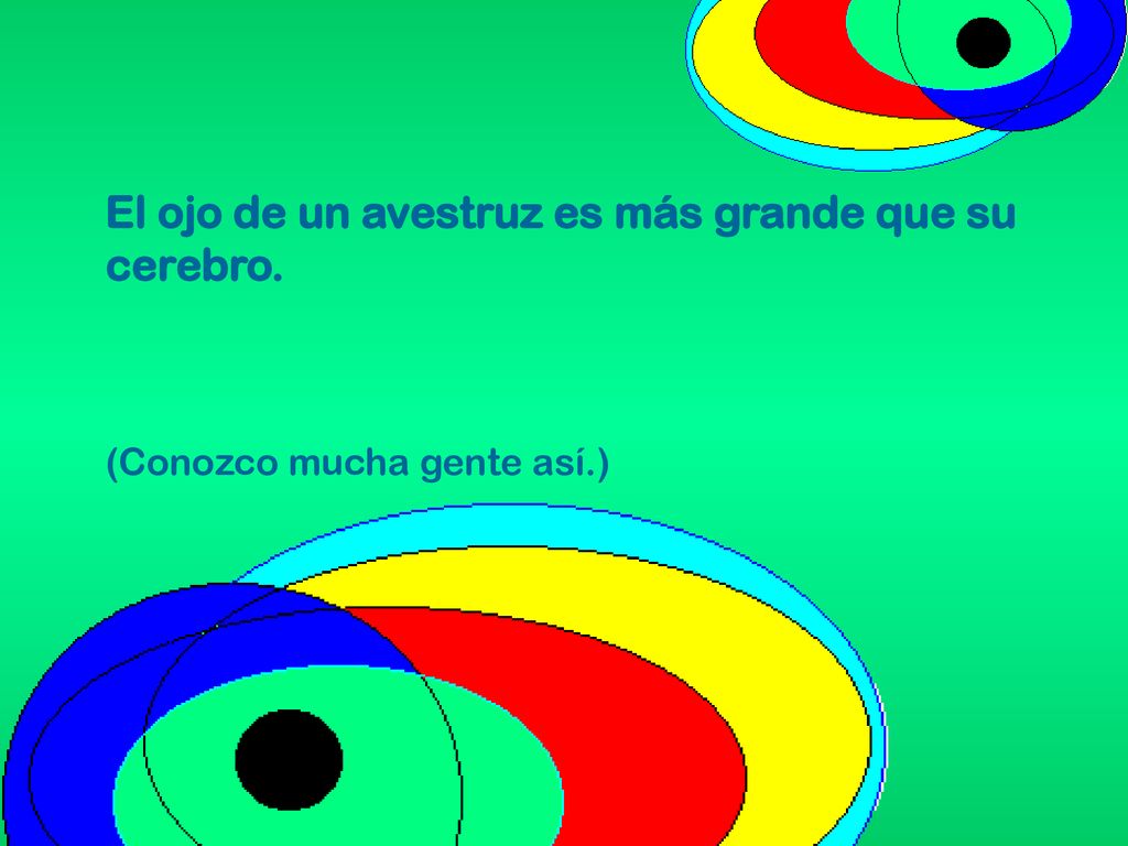 El ojo de un avestruz es más grande que su cerebro.