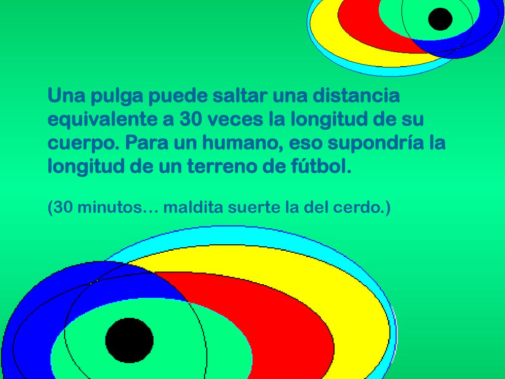 Una pulga puede saltar una distancia equivalente a 30 veces la longitud de su cuerpo. Para un humano, eso supondría la longitud de un terreno de fútbol.