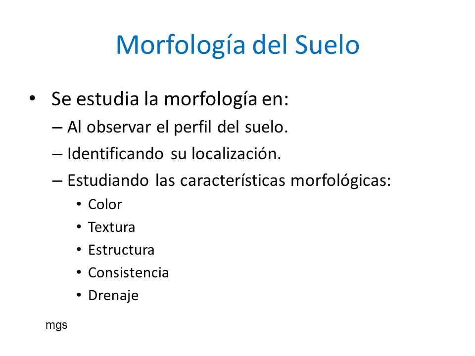 Morfología del Suelo Se estudia la morfología en: