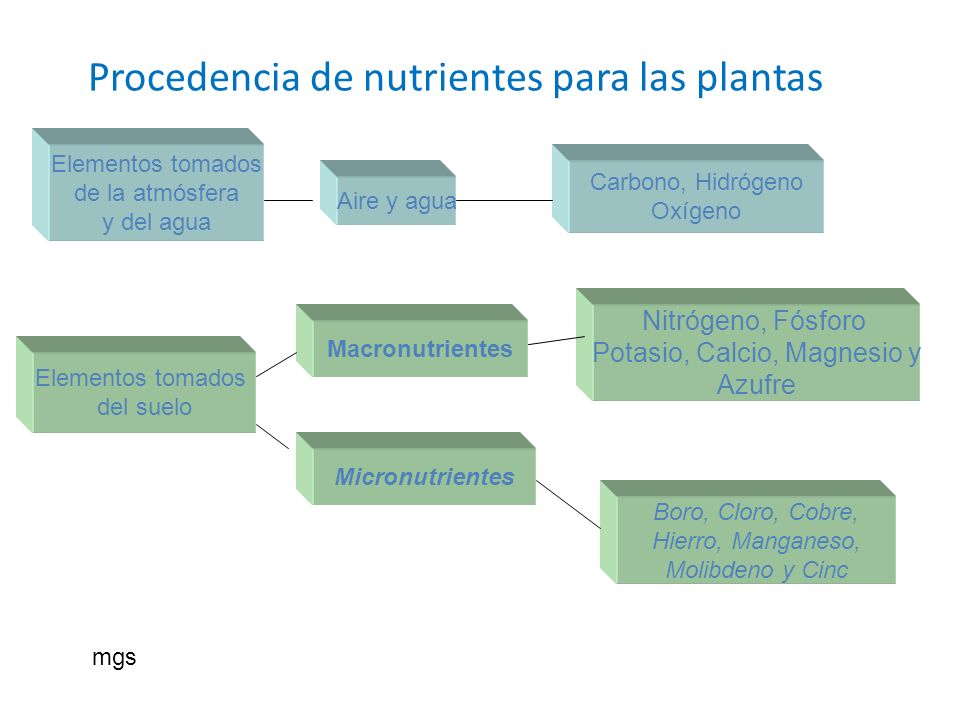 Procedencia de nutrientes para las plantas