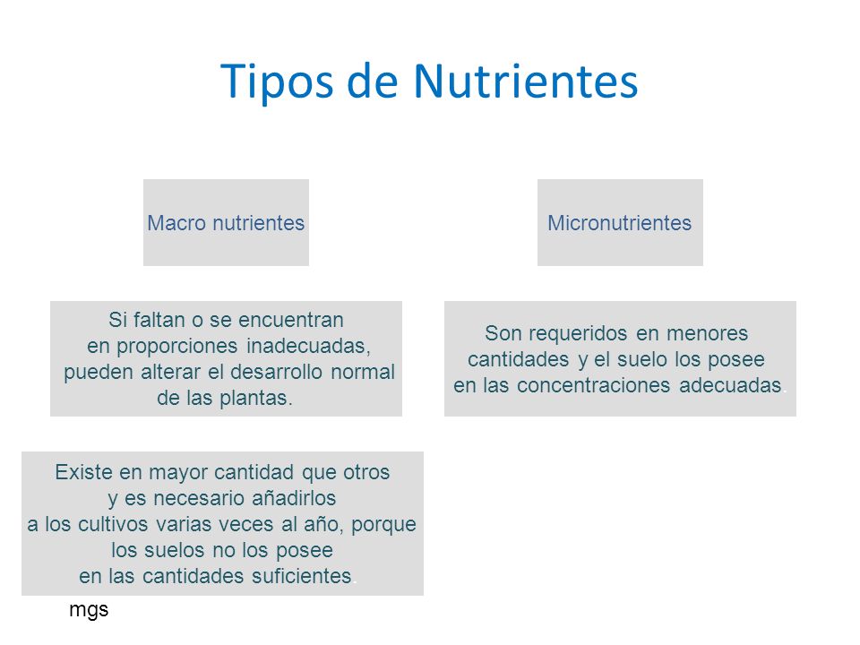 Tipos de Nutrientes Macro nutrientes Micronutrientes