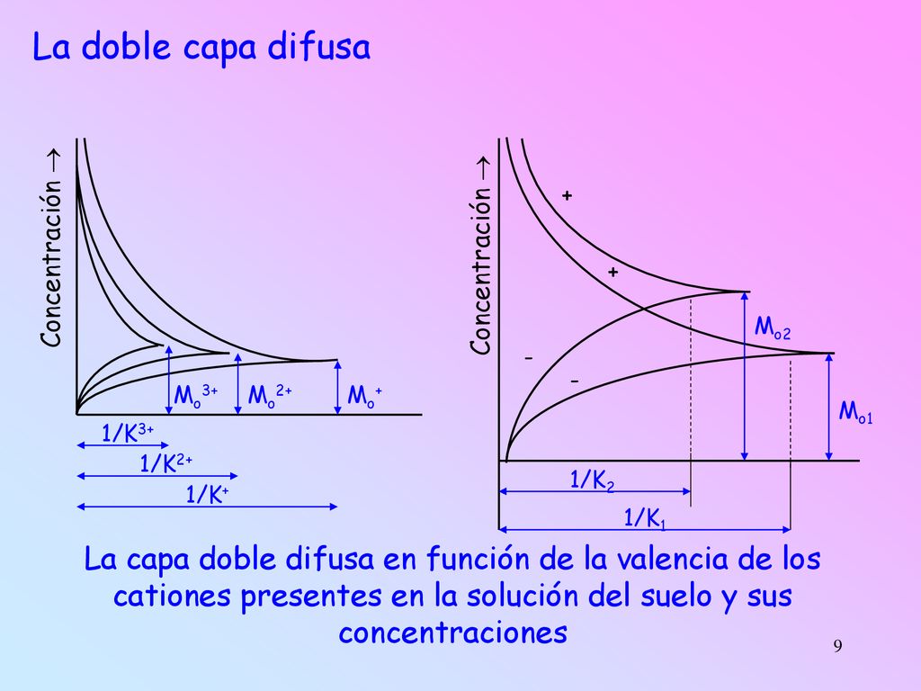 La doble capa difusa + Concentración  Concentración  + Mo Mo3+ Mo2+ Mo+ Mo1. 1/K3+