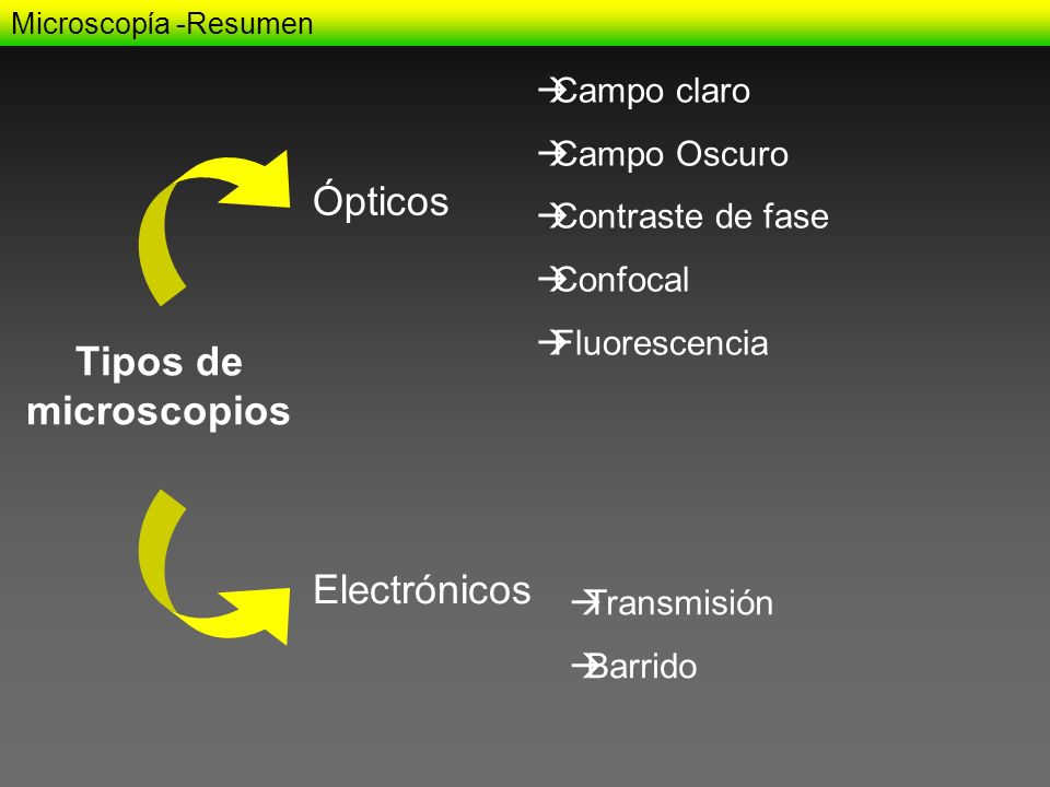 Ópticos Tipos de microscopios Electrónicos Campo claro Campo Oscuro