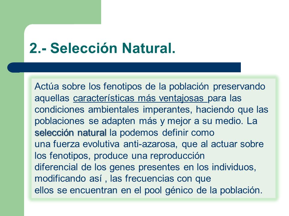2.- Selección Natural.