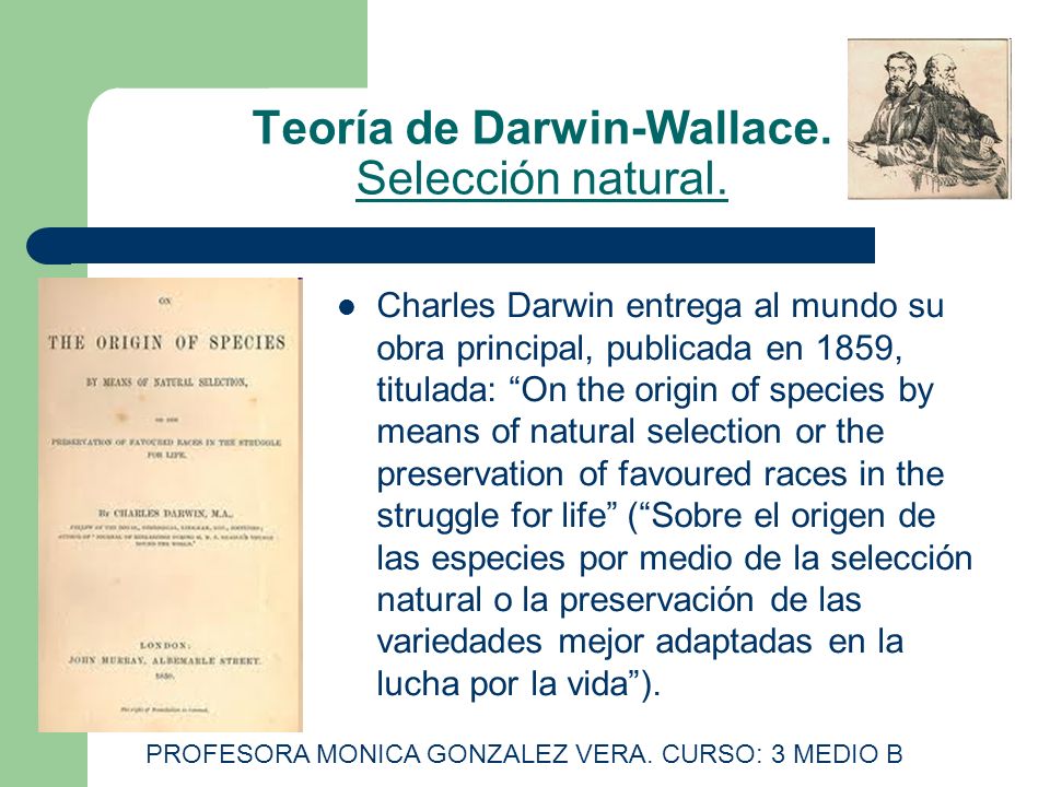 Teoría de Darwin-Wallace. Selección natural.