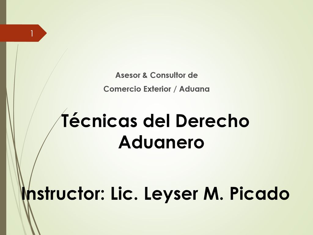 Técnicas del Derecho Aduanero Instructor: Lic. Leyser M. Picado