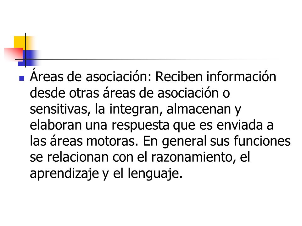 Áreas de asociación: Reciben información desde otras áreas de asociación o sensitivas, la integran, almacenan y elaboran una respuesta que es enviada a las áreas motoras.