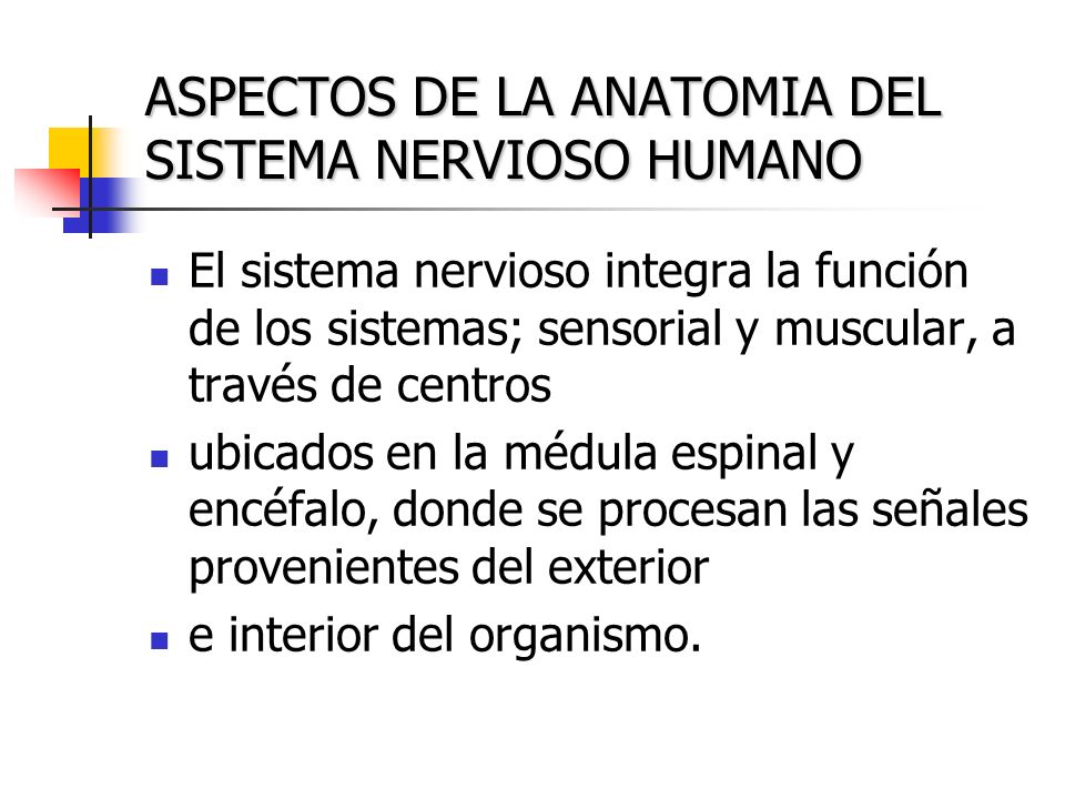 ASPECTOS DE LA ANATOMIA DEL SISTEMA NERVIOSO HUMANO