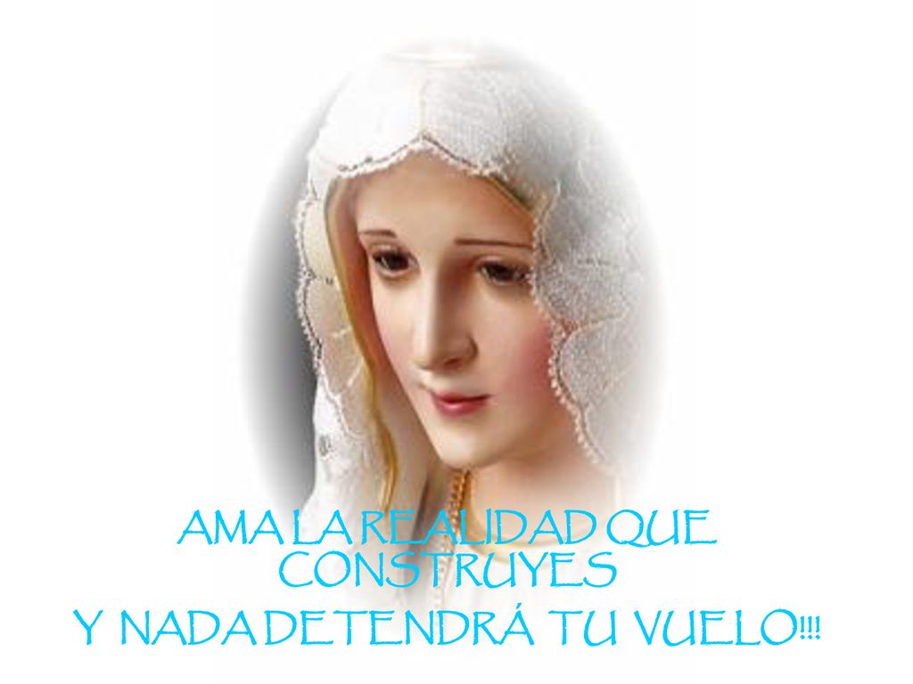 AMA LA REALIDAD QUE CONSTRUYES Y NADA DETENDRÁ TU VUELO!!!