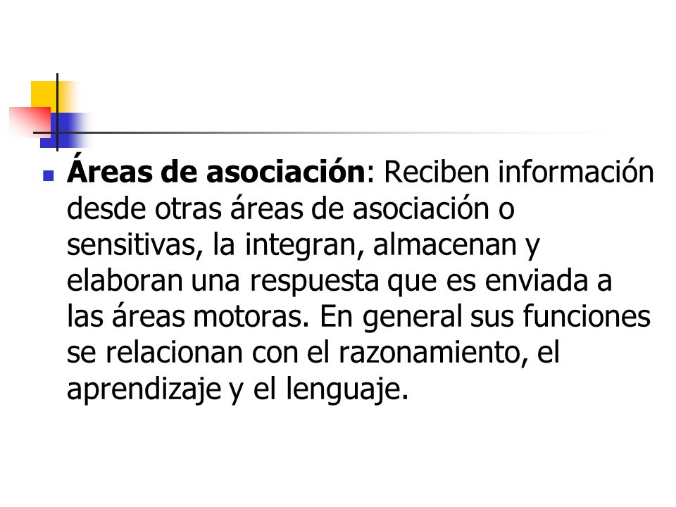 Áreas de asociación: Reciben información desde otras áreas de asociación o sensitivas, la integran, almacenan y elaboran una respuesta que es enviada a las áreas motoras.