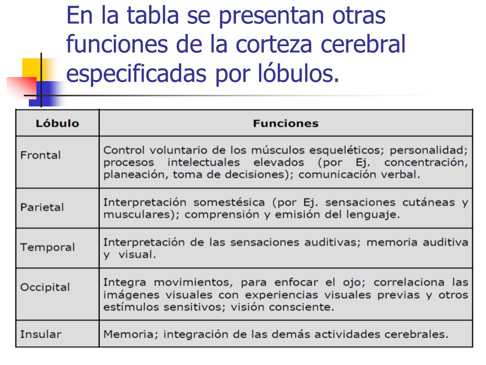 En la tabla se presentan otras funciones de la corteza cerebral especificadas por lóbulos.
