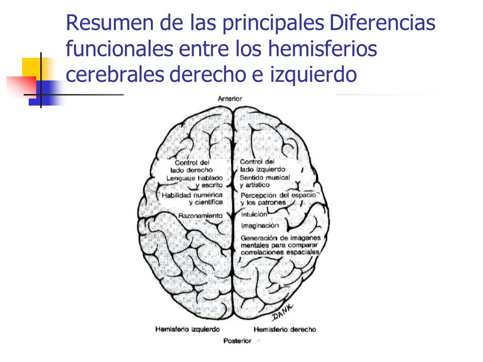 Resumen de las principales Diferencias funcionales entre los hemisferios cerebrales derecho e izquierdo