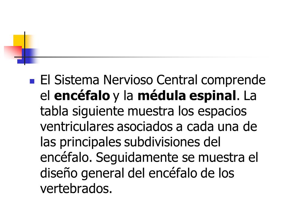 El Sistema Nervioso Central comprende el encéfalo y la médula espinal