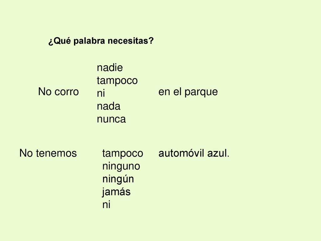 nadie tampoco ni nada nunca No corro en el parque No tenemos tampoco