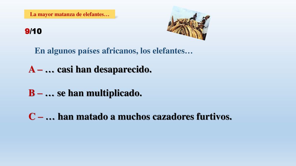 A – … casi han desaparecido. B – … se han multiplicado.