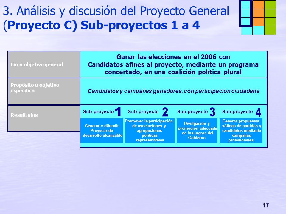 3. Análisis y discusión del Proyecto General (Proyecto C) Sub-proyectos 1 a 4