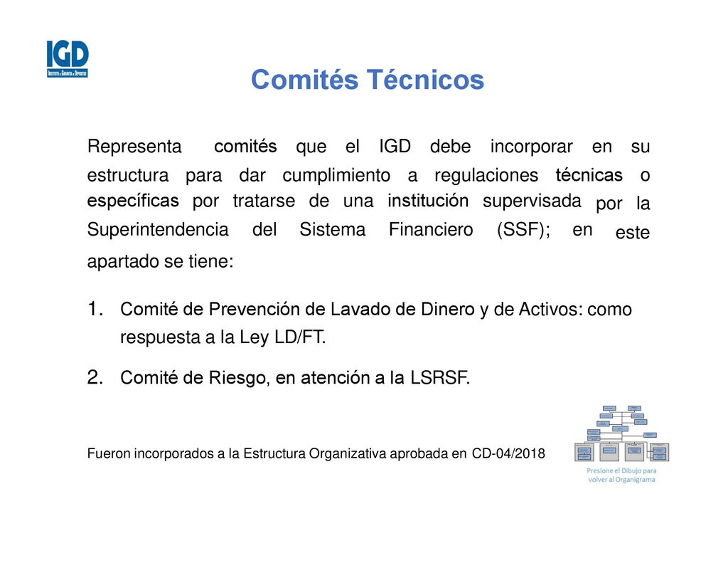 Comités Técnicos Representa comités que el IGD debe incorporar en su o