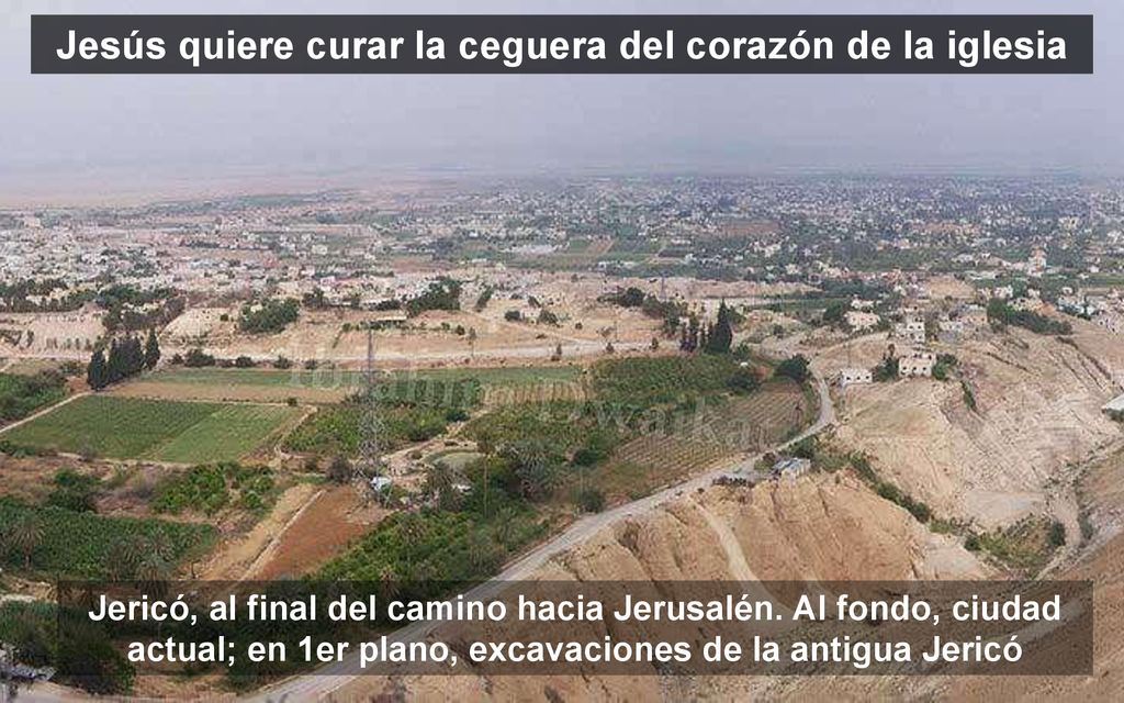 Jesús quiere curar la ceguera del corazón de la iglesia