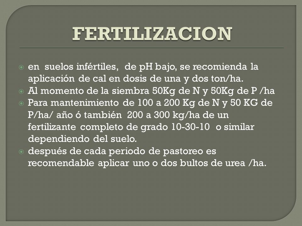 FERTILIZACION en suelos infértiles, de pH bajo, se recomienda la aplicación de cal en dosis de una y dos ton/ha.