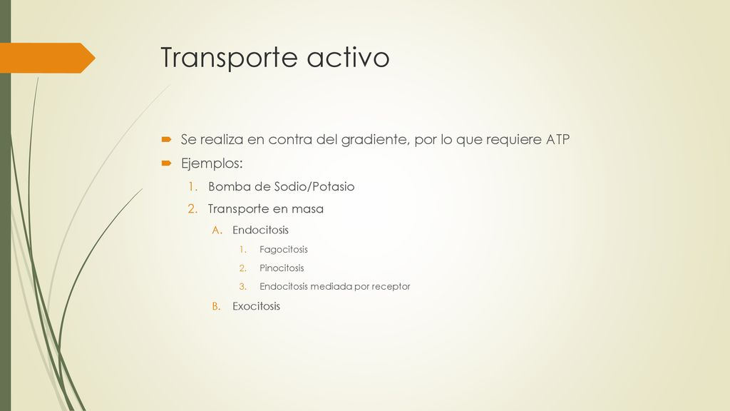 Transporte activo Se realiza en contra del gradiente, por lo que requiere ATP. Ejemplos: Bomba de Sodio/Potasio.