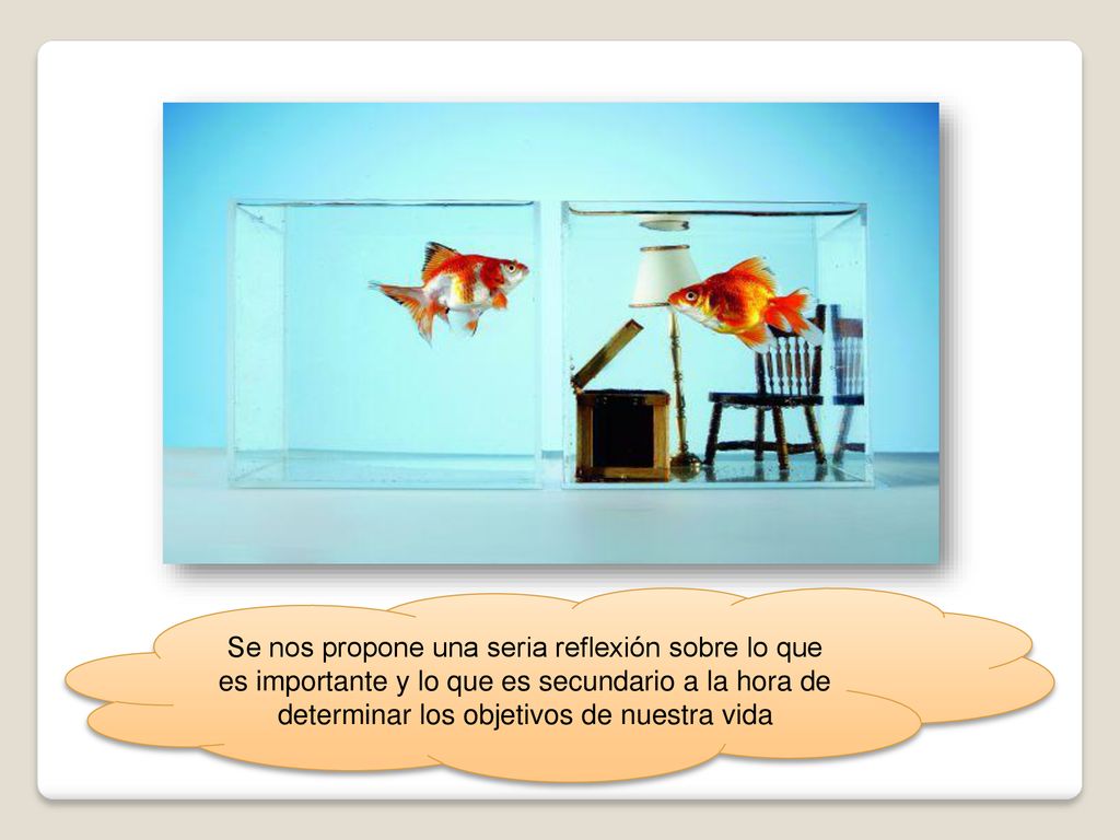 Se nos propone una seria reflexión sobre lo que es importante y lo que es secundario a la hora de determinar los objetivos de nuestra vida
