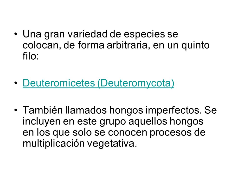 Una gran variedad de especies se colocan, de forma arbitraria, en un quinto filo: