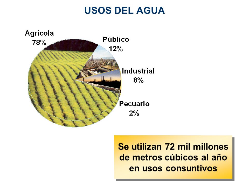 USOS DEL AGUA Se utilizan 72 mil millones de metros cúbicos al año en usos consuntivos