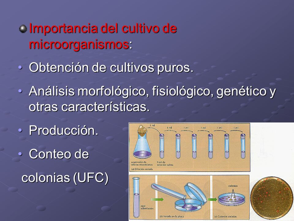Importancia del cultivo de microorganismos: