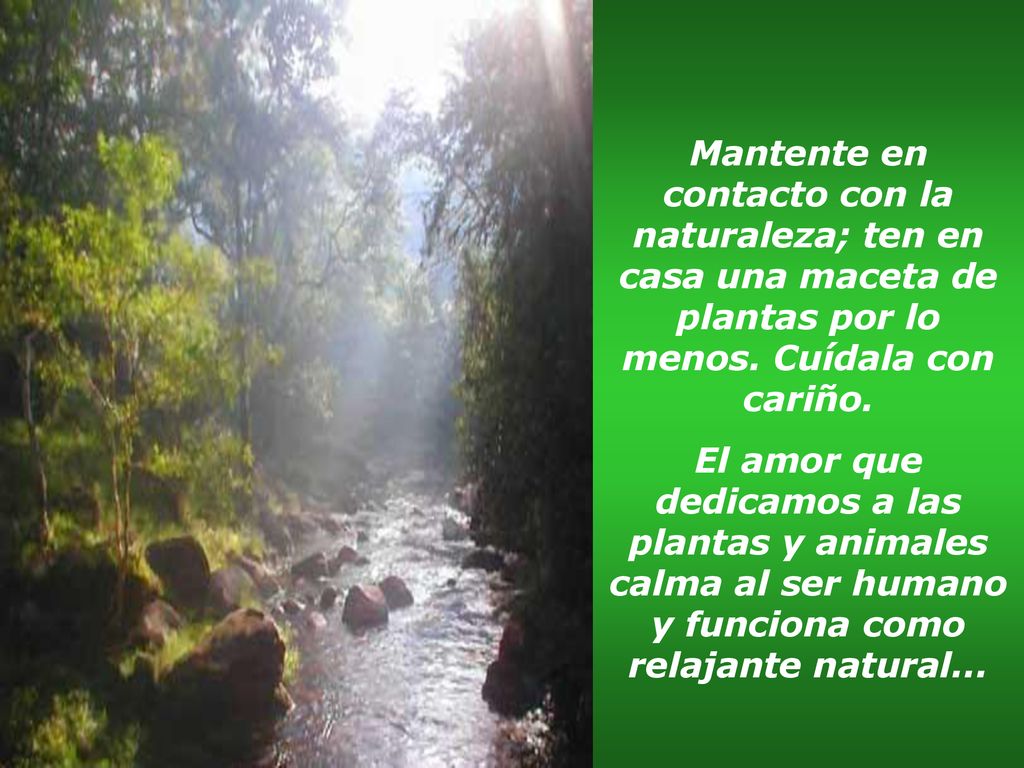 Mantente en contacto con la naturaleza; ten en casa una maceta de plantas por lo menos. Cuídala con cariño.