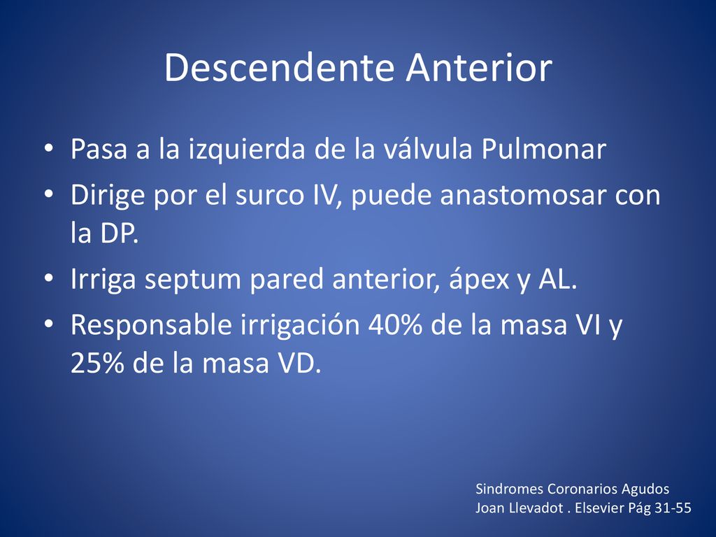 Descendente Anterior Pasa a la izquierda de la válvula Pulmonar