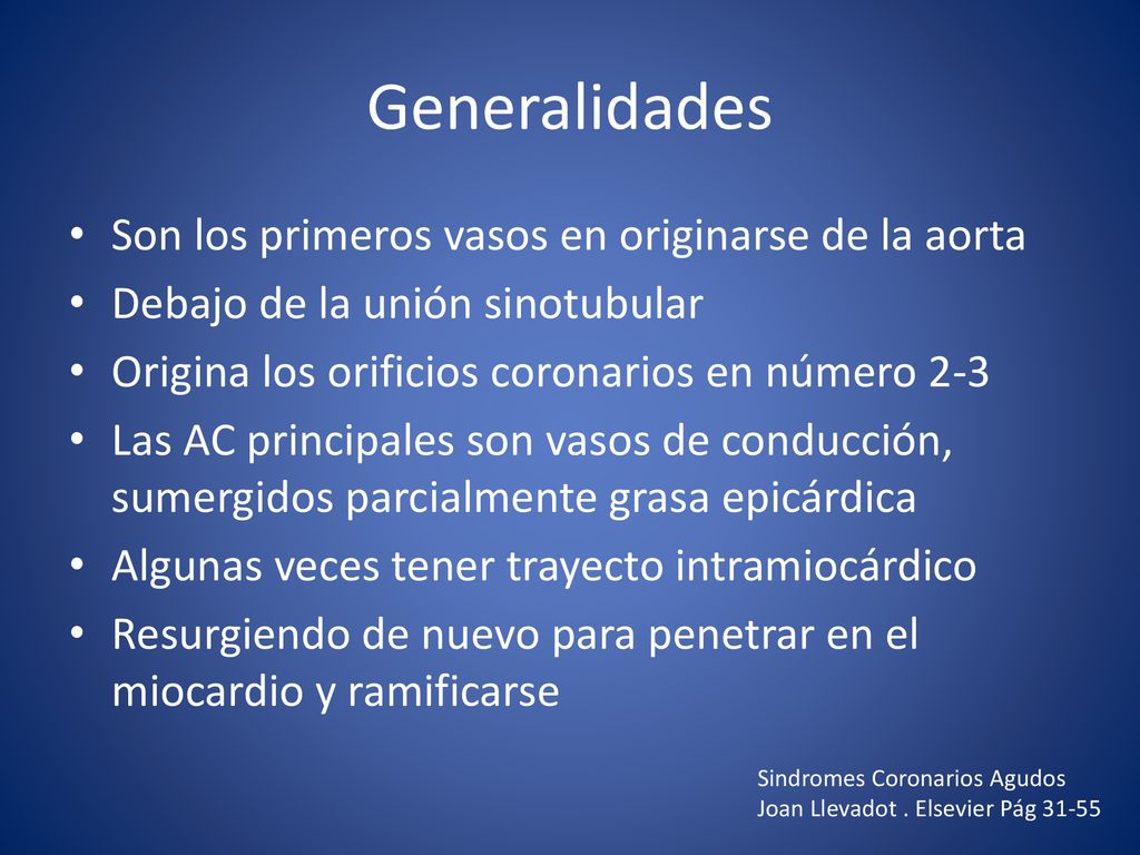 Generalidades Son los primeros vasos en originarse de la aorta