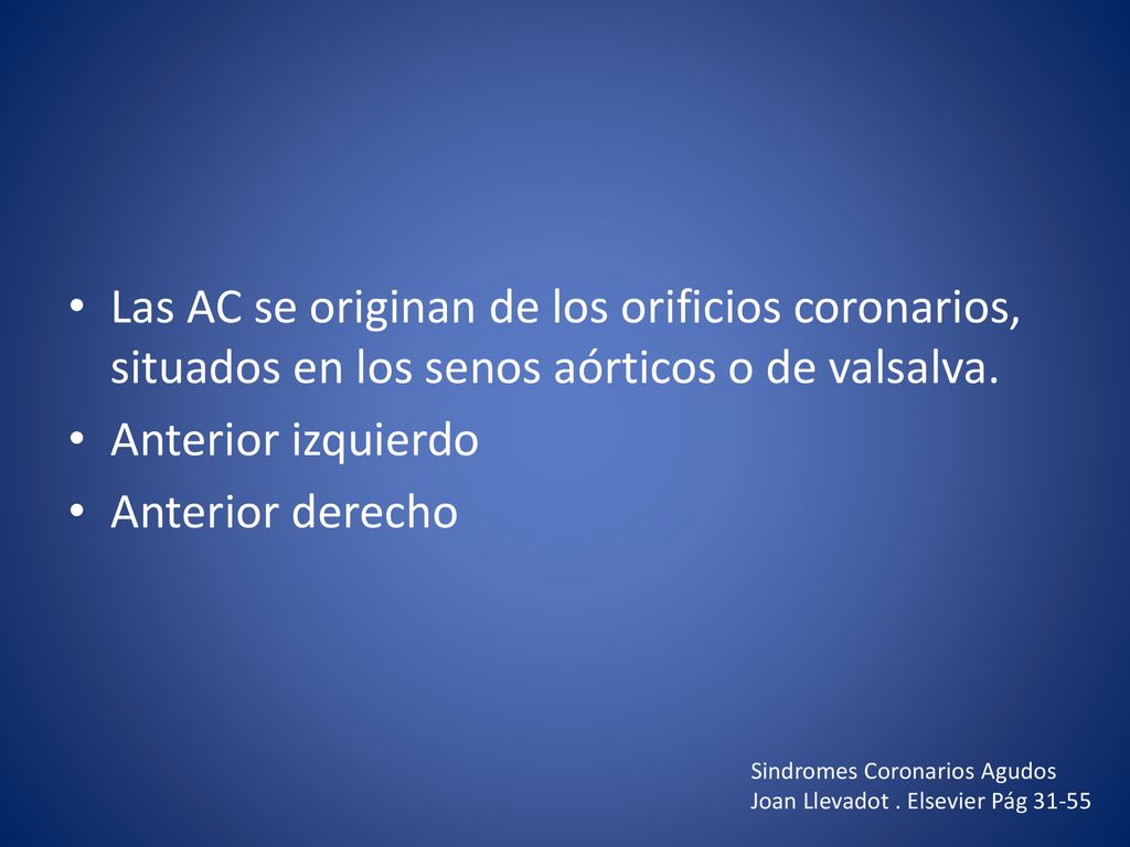 Las AC se originan de los orificios coronarios, situados en los senos aórticos o de valsalva.