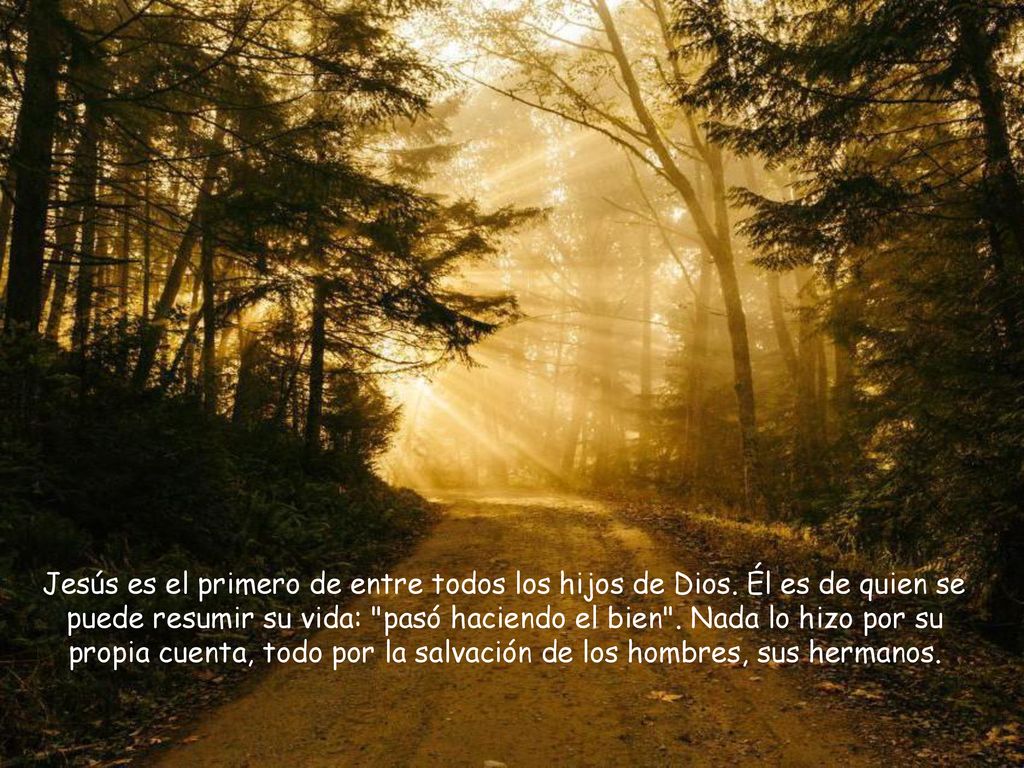 Jesús es el primero de entre todos los hijos de Dios