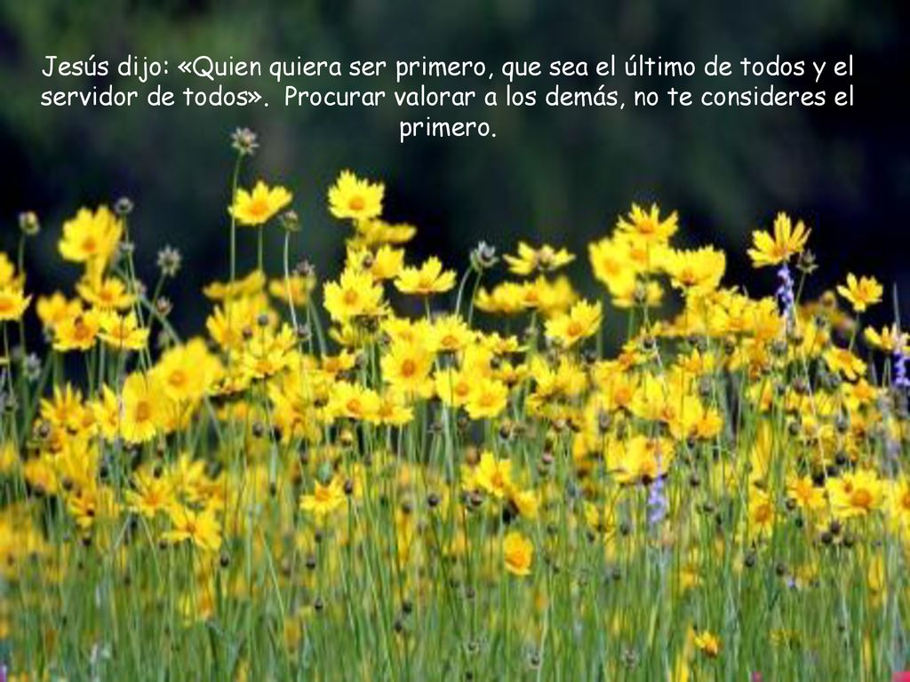 Jesús dijo: «Quien quiera ser primero, que sea el último de todos y el servidor de todos».